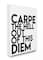 Stupell Industries LulusimonStudio Carpe Diem Canvas Wall Art
